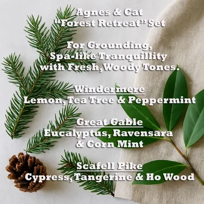 Agnes & Cat - Forest Retreat Set Of 3 Essenziale Olio Blends
