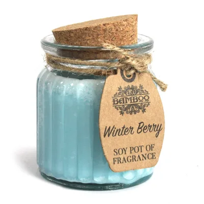 Winter Berry Soy Pot of Profumo Candele