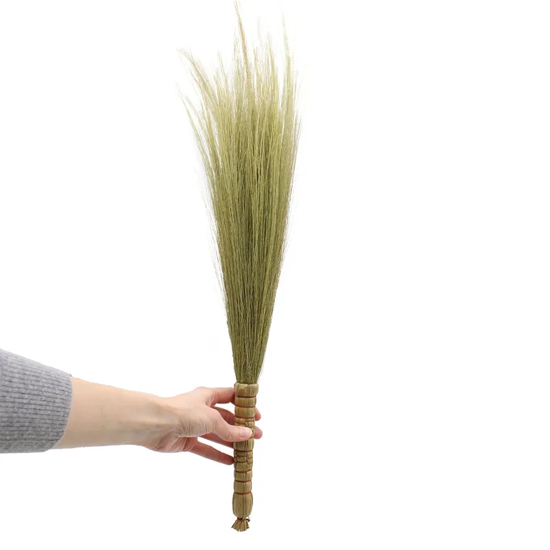 Set 4 Pampas Broom Naturale — foto 2