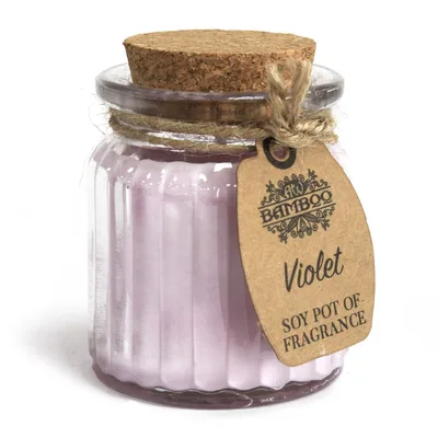 Violet Soy Pot of Profumo Candele