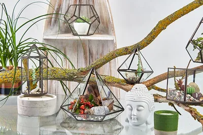Glass Terrarium Small Diamond — foto 1