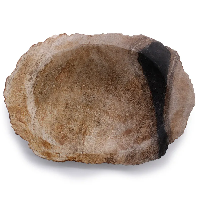 Petrified Legno Nero Sapone Dish — foto 1