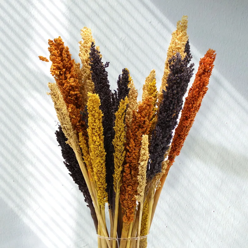 Cantal Grass Bunch Arancia
