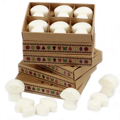 Gift Set of 6 Cera Melts - Bianco Muschio