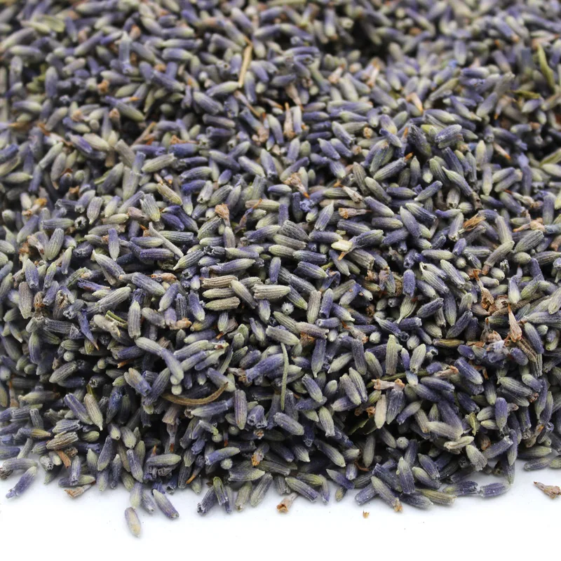 Lavanda Fiori