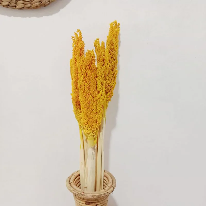 Cantal Grass Bunch Ambra — foto 4