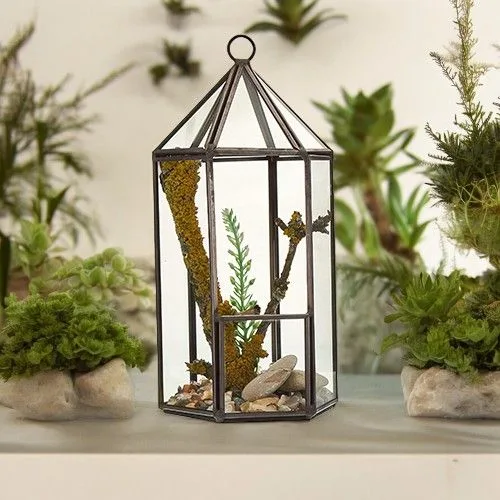 Glass Terrarium Lantern Shape