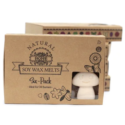 Set Regalo di 6 Cera Melettes – Vaniglia e Zucca Lunga — foto 1