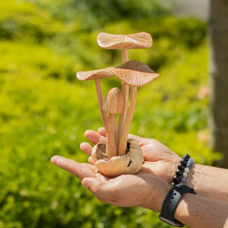 Fatto a mano Parasite Legno Art Carving Set of 4 Large Mushrooms — foto 4