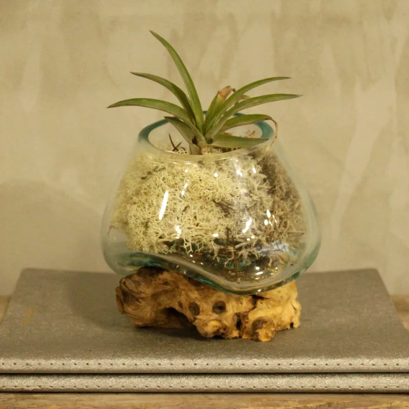 Molten Glass on Legno Small Bowl — foto 5