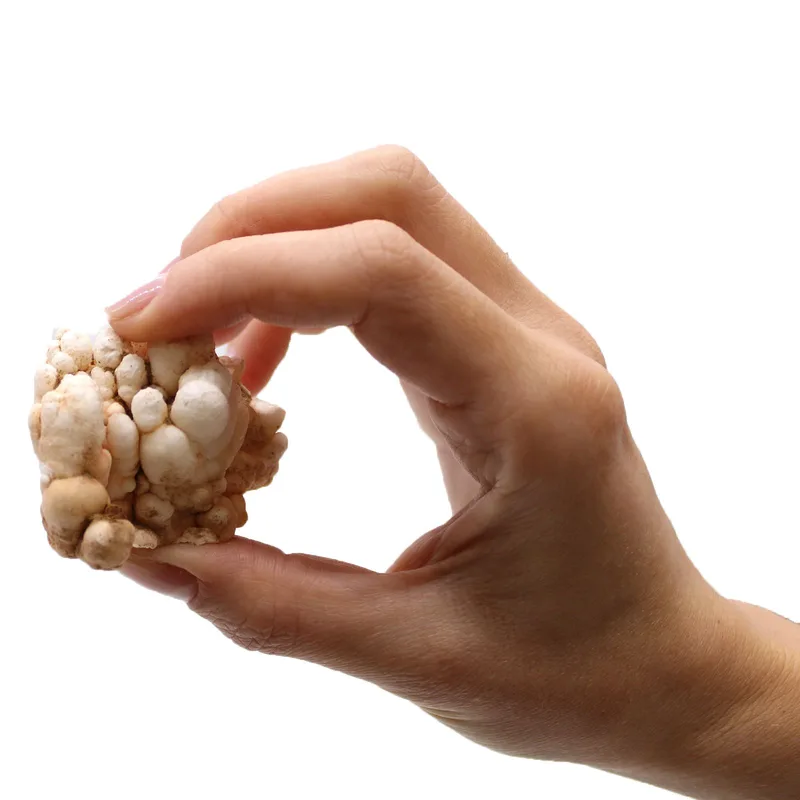 Mineral Specimens Fiore Calcite