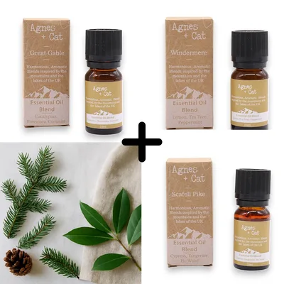 Agnes & Cat - Forest Retreat Set Of 3 Essenziale Olio Blends — foto 1