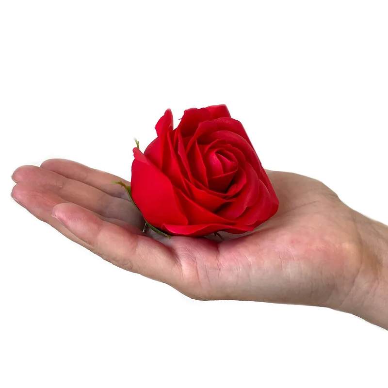 Sapone Fiore Gift Bouquet 9 Red Roses Square