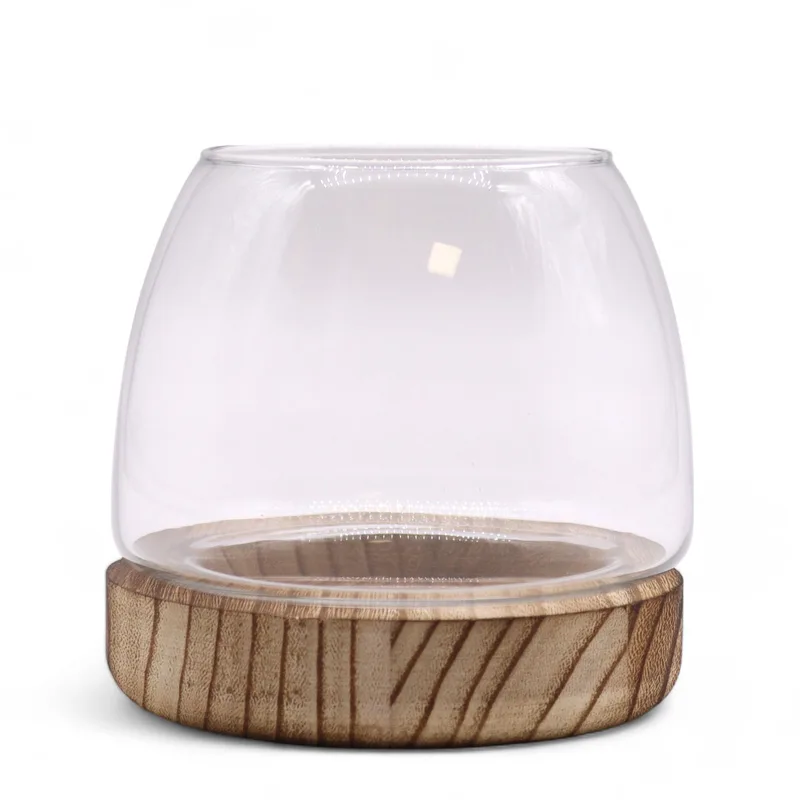 Small Terarium on Naturale Tung Legno 13x13cm