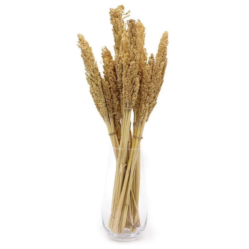 Cantal Grass Bunch Naturale