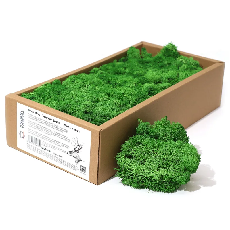 Quality Decoration Reindeer Moss Moss Verde 635g Scatola