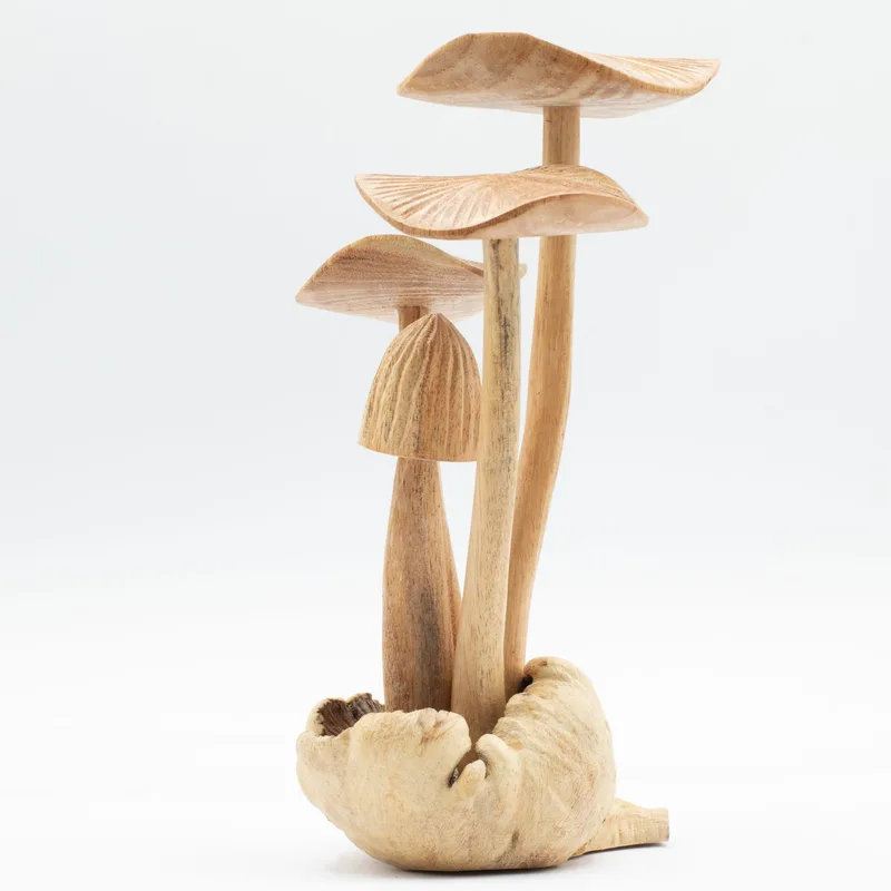 Fatto a mano Parasite Legno Art Carving Set of 4 Large Mushrooms — foto 2