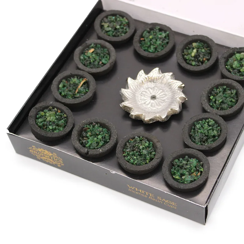 Scatola of 12 Resin Cups Bianco Sage — foto 1