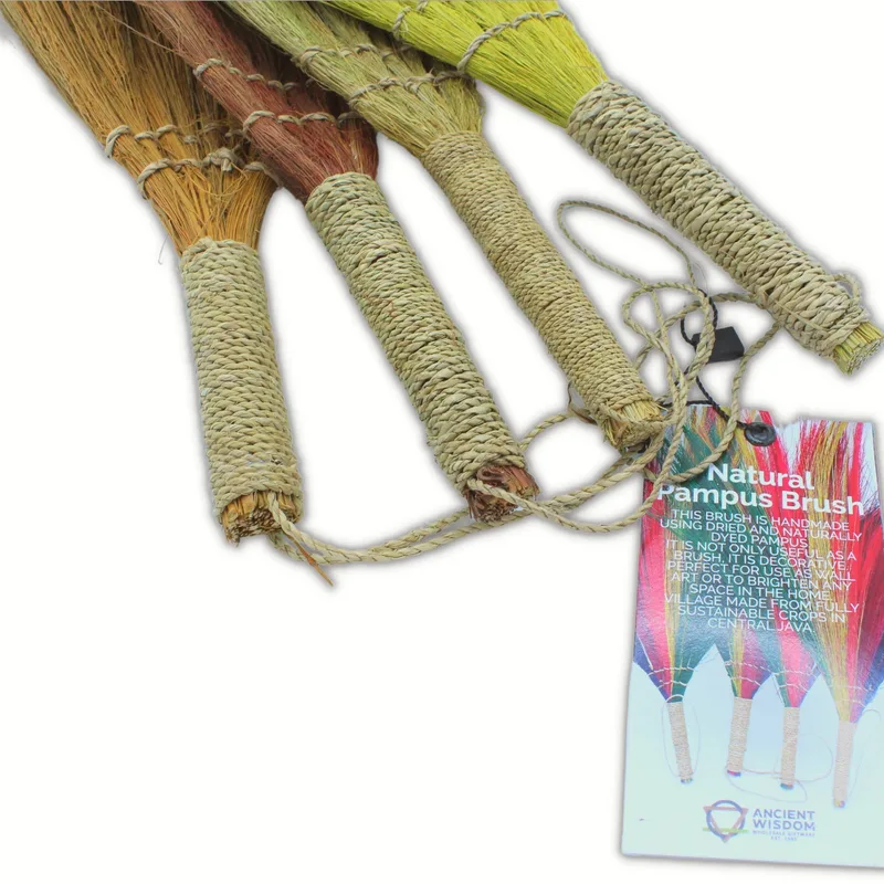 Set 4 Pampus Long Broom Naturale colours — foto 3
