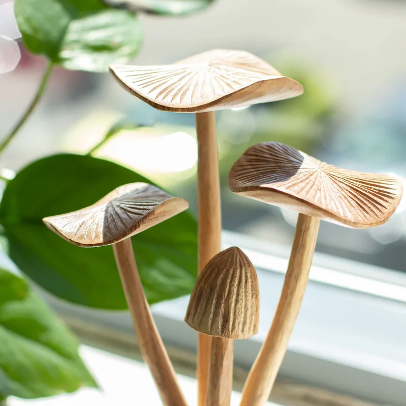 Fatto a mano Parasite Legno Art Carving Set of 4 Large Mushrooms — foto 3