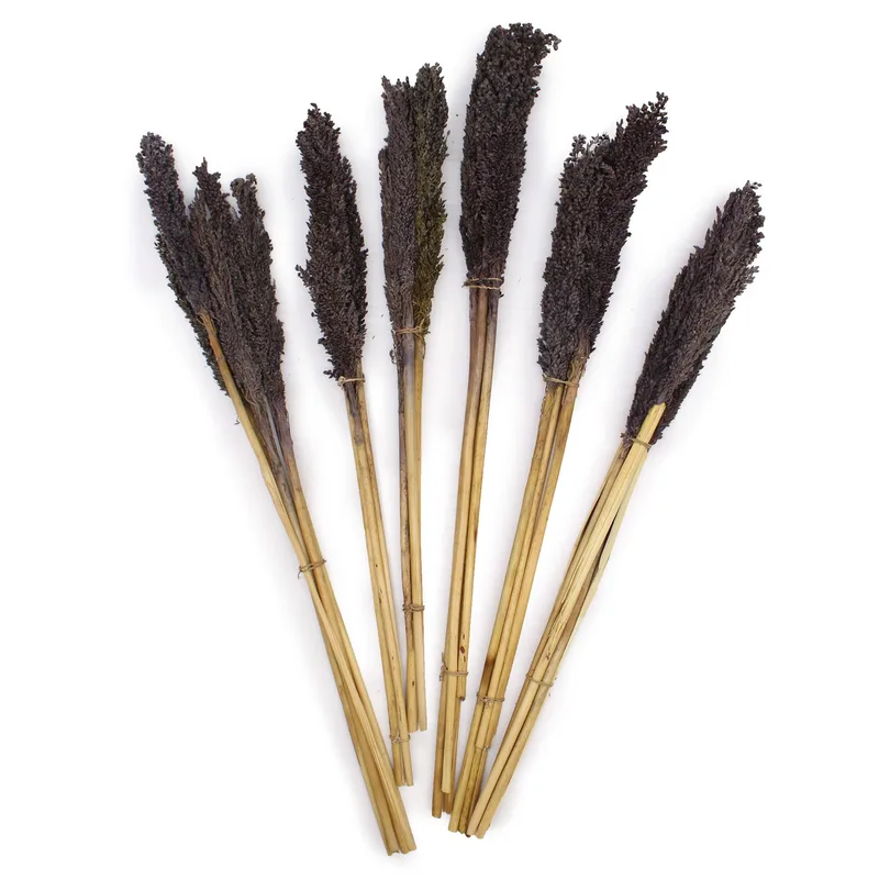 Cantal Grass Bunch Nero — foto 2