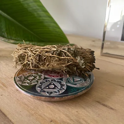 Soapstone Disc Incenso Porta 10cm Seven Chakra — foto 1