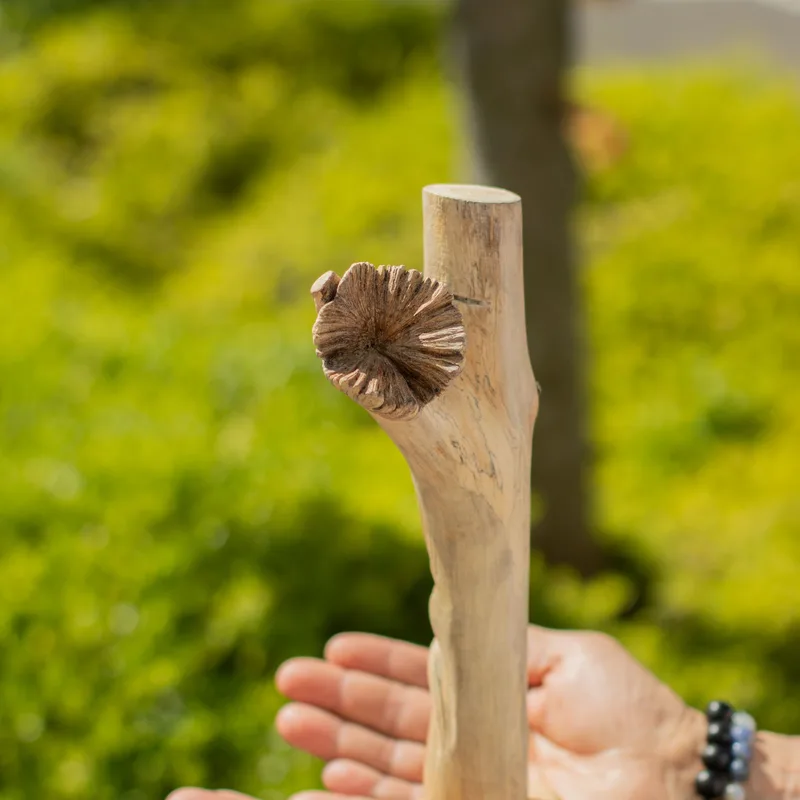 Fatto a mano Parasite Legno Art Carving Greenman — foto 2