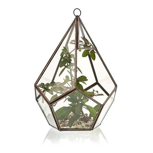 Glass Terrarium Large Pyramid — foto 1