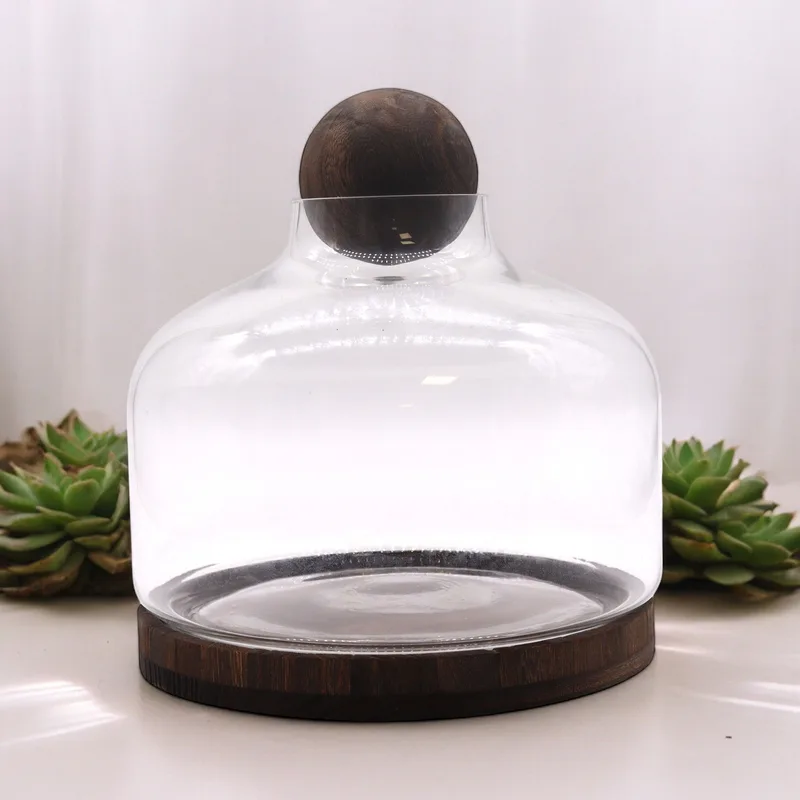 Ex-Large Ball Top Terarium on Dark Tung Legno 23x23cm