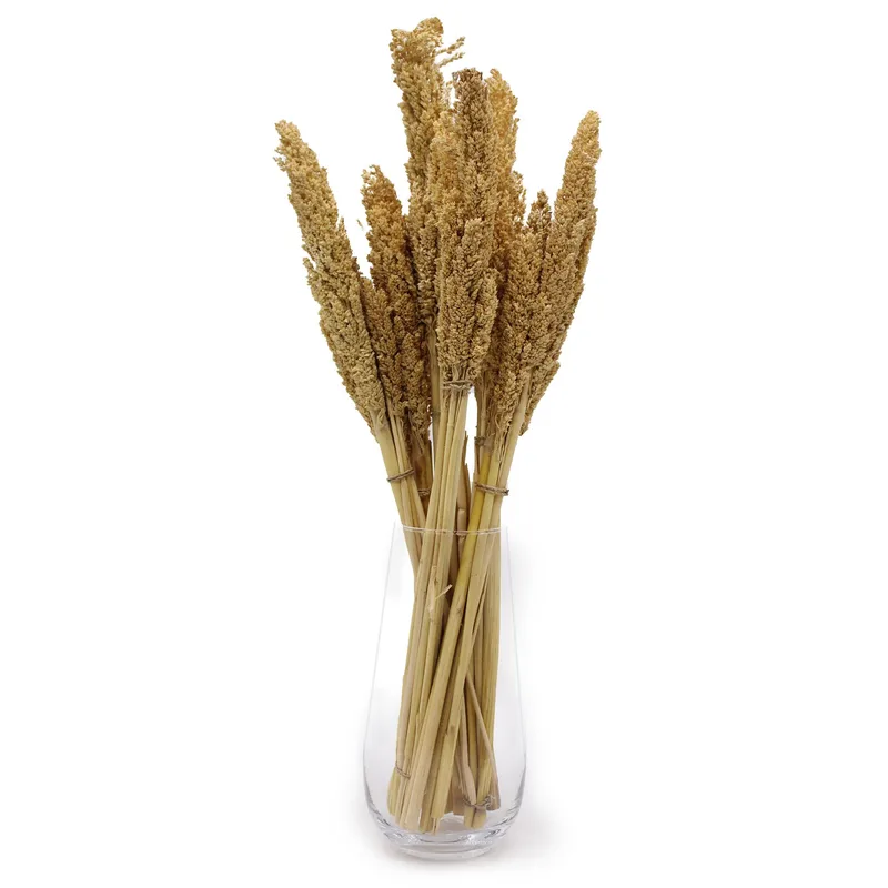 Cantal Grass Bunch Naturale — foto 2