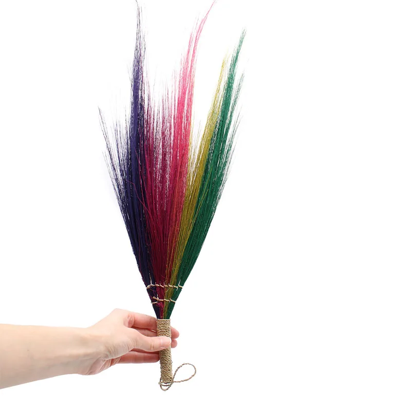 Set 4 Pampas Broom Rainbow Colours — foto 2