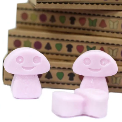 Gift Set of 6 Cera Melts - Ylang Ylang — foto 4