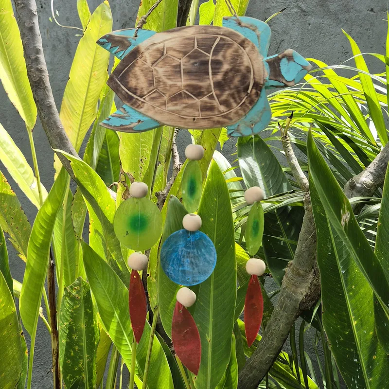 Aqua Turtle Carving and Copis Drop — foto 4