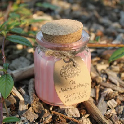 On Gelsomino Wings Soy Pot of Profumo Candela — foto 1