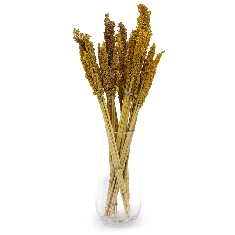 Cantal Grass Bunch Ambra — foto 1