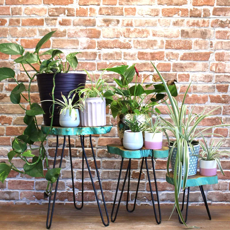 Set of 3 Gamell Legno Plant Stands Greenwash — foto 4