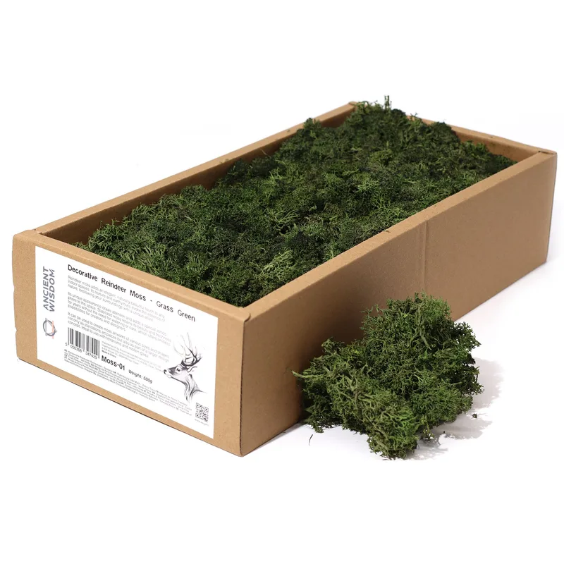 Quality Decoration Reindeer Moss - Grass Verde - 635g Scatola