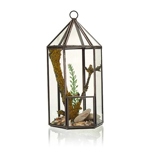 Glass Terrarium Lantern Shape — foto 2