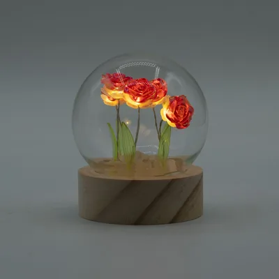 Floral Glow Garden Dome - 5 Red Roses - LED Battery — foto 2
