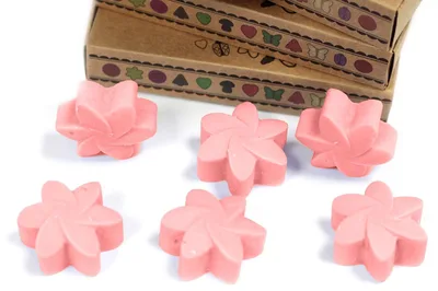 Set Regalo di 6 Cera Melts – Magnolià Giapponese — foto 2