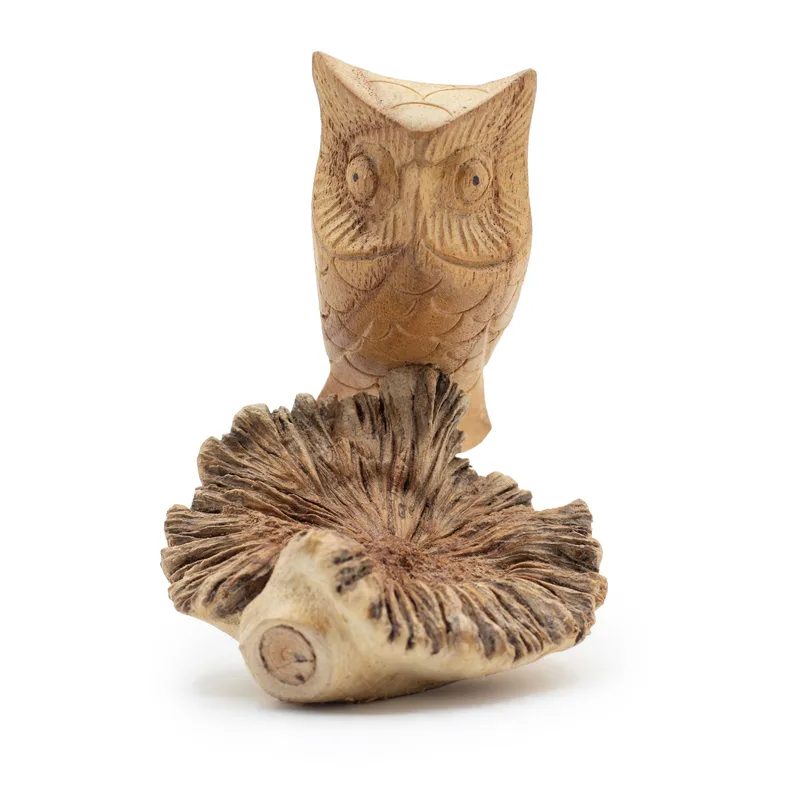 Fatto a mano Parasite Legno Art Carving Owl Watching — foto 1