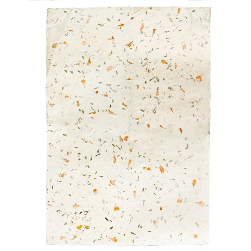 Lokta Craft & Wrapping Paper 51x76cm – Grass — foto 5