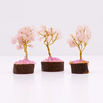 Mini Gemstone Trees On Legno Base - Rosa Quartz (15 stones) — foto 4