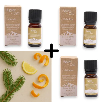 Agnes & Cat - Citrus Uplift Set Of 3 Essenziale Olio Blends — foto 5