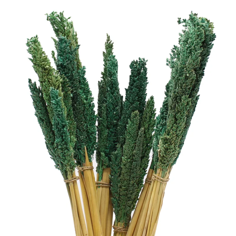Cantal Grass Bunch Teal — foto 4