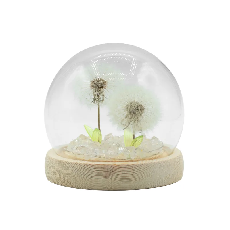 Floral Glow Garden Dome 2 Dandelions LED USB — foto 1