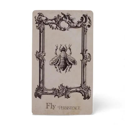 Le Carte dell'Oracolo Spellbook - Mago Deck — foto 3