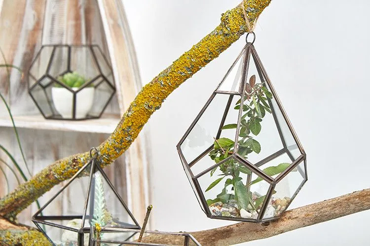 Glass Terrarium Large Pyramid