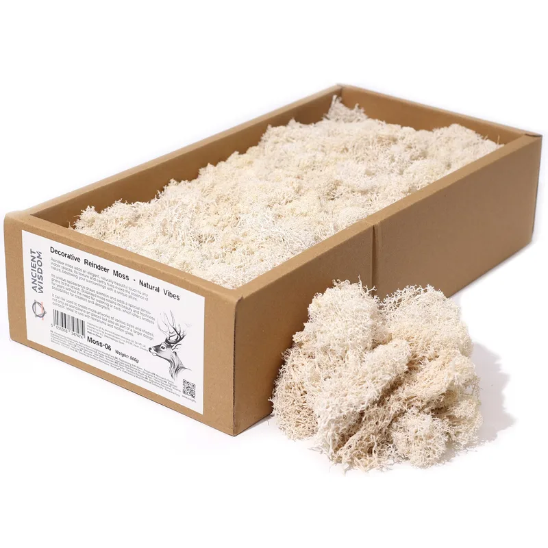 Quality Decoration Reindeer Moss Naturale Vibes 635g Scatola