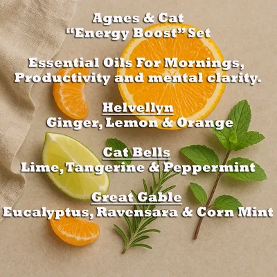 Agnes & Cat - Energy Boost Set Of 3 Essenziale Olio Blends — foto 3